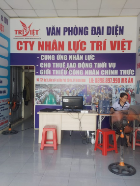Công ty Nhân lực Trí Việt